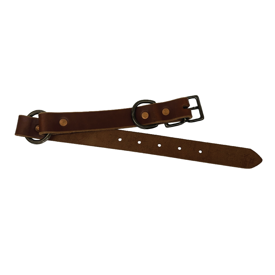 Full-Grain Leather Dog Collar