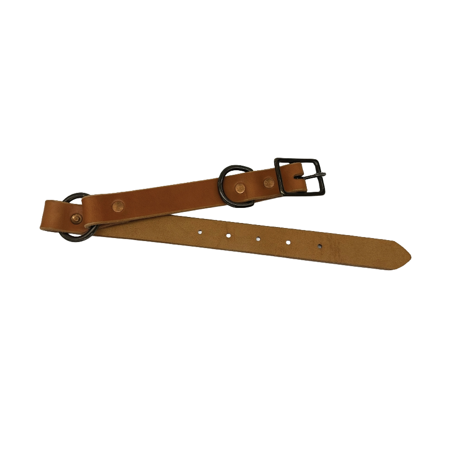 Full-Grain Leather Dog Collar