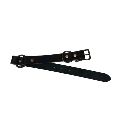 Full-Grain Leather Dog Collar