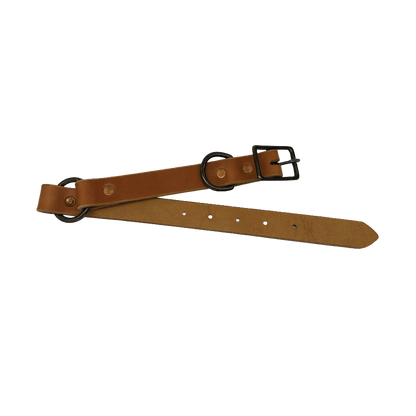 Full-Grain Leather Dog Collar